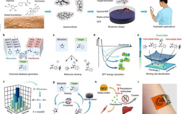 Advanced Materials：计算辅助方法设计面向非侵入性个性化分子分析的可穿戴生物传感器