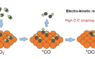 Angew：通过疏水性诱导电动力学延迟促进 CO2 电还原为多碳产品