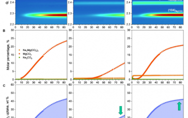 Science Advances：揭示熔盐促进的 MgO 基 CO2 吸附剂的结构动力学及其在 CO2 吸收中的作用