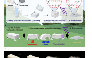 Science Advances：采用可光降解有机硅弹性体复合材料制成的终身可配置软机器人