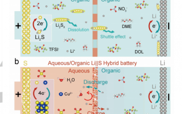 Angew：基于Cu2+氧化还原载流子的高能水/有机混合电池