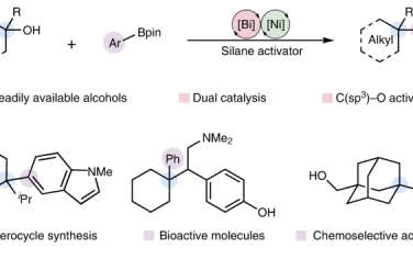 Nature Synthesis：有机醇脱氧与硅烷Suzuki-Miyaura偶联