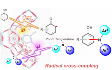 JACS：多级 USY 沸石负载的 Cu−Co 双原子催化剂用于高效交叉脱氢 C(sp2)−N 偶联反应