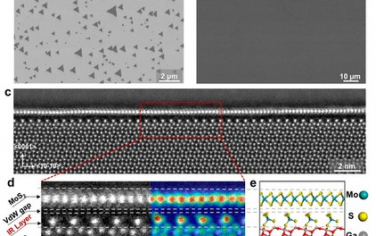 ACS Nano：界面重构层可控制单层过渡金属硫化物的取向