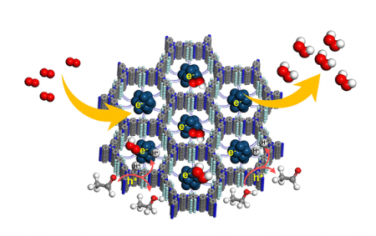 JACS：共价有机骨架的氟化加强Pd纳米团簇的限制增强过氧化氢的光合作用