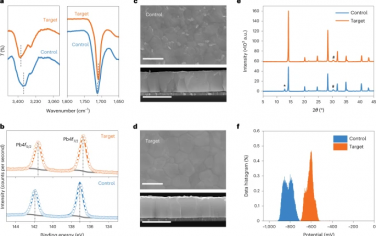 Nature Photonics：用于提高效率和稳定性的钙钛矿太阳能电池的氢键桥接中间体