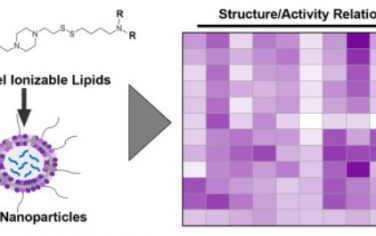 Biomaterials：理解HEPES结构活性关系有利于脂质纳米颗粒mRNA疫苗应用