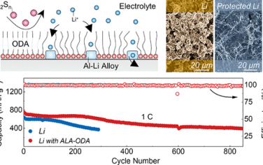 ACS Nano: 选择性渗透包覆层用于实用型锂硫电池锂负极保护