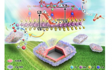 Angew：设计铜单原子电子桥以实现高效的光催化 CO2 转化