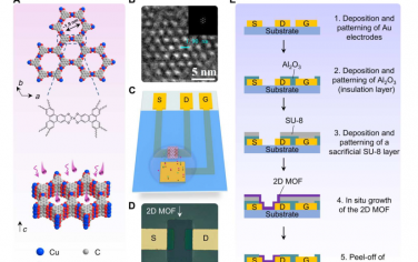 Science Advances：用于高跨导和快速响应的超柔性电化学晶体管的2D金属-有机骨架
