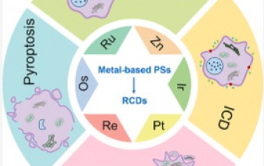 Chemical Reviews：金属基光敏剂可作为调节细胞死亡机制的诱导剂