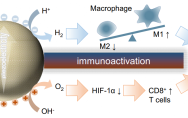 Biomaterials：介晶ZnS纳米颗粒增强声催化全水裂解成H2/O2以对深部肿瘤进行免疫激活