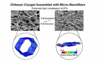 ACS Nano：仿生多尺度微/纳米纤维网络设计可实现极度可压缩、抗疲劳和可快速恢复形状的冷冻凝胶