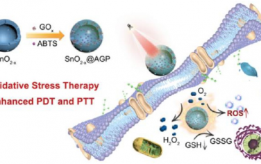 ACS Nano：NIR激活的肿瘤特异性纳米反应器用于自增强多模态成像和光学治疗