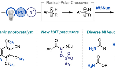 JACS：光催化苄基C-H键氨基化