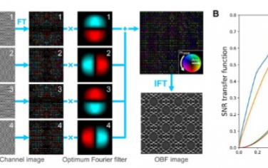 Science Advances：利用最佳亮场扫描透射电子显微镜直接成像沸石中的局部原子结构