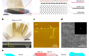 Nature Nanotechnology：在柔性基底上直接低温生长高品质MoS2