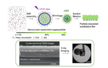 JACS：用于高效X射线闪烁和成像的放射发光Cu−Au金属纳米团簇的合成和自组装