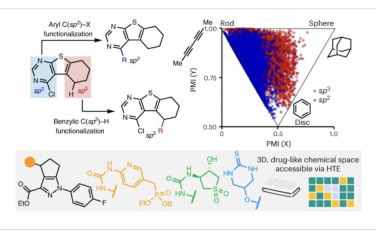 Nature Synthesis：通过苄基C–H交叉偶联获得三维分子多样性