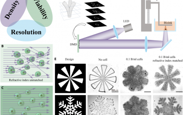 Science Advances：高细胞密度和高分辨率3D生物打印用于制造血管化组织