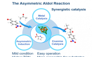 JACS：金属催化和有机催化在具有锚定脯氨酸的金属纳米团簇中的整合