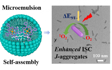 ACS Nano：微乳液辅助的铟卟啉光敏剂自组装用于实现增强的光动力治疗