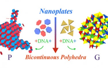 ACS Nano：纳米板可编程自组装成双连续纳米结构