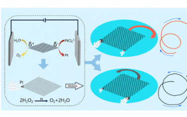 Nano Letters：空间精确定制用于设计Janus游泳者的石墨烯单层的催化活性