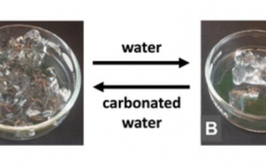 Chem. Soc. Rev.: CO2响应凝胶