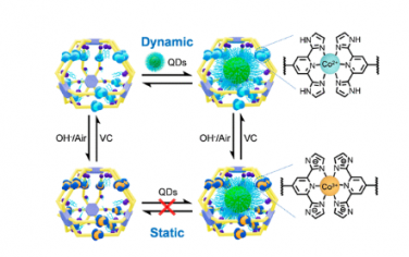 JACS：动态超分子组装原位去质子化/氧化构建超稳定金属笼
