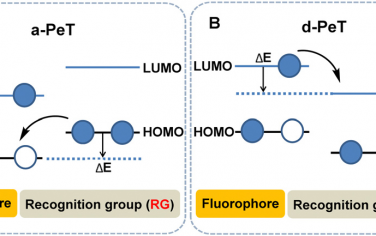 Chem. Soc. Rev：基于光诱导电子转移(PeT)的荧光探针用于细胞成像和疾病治疗