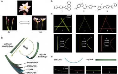 Nature Communications：基于有机聚合物-晶体杂化材料的仿生软机器
