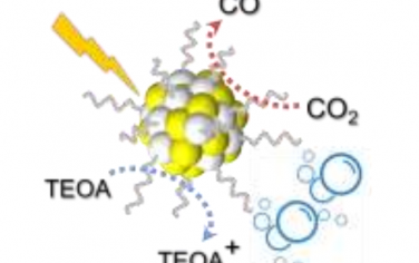 Angew：有机聚合物量子点光催化还原CO2