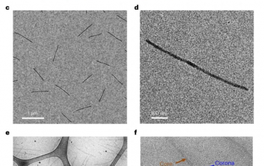 Nature Materials: 具有结晶核的嵌段共聚物纳米纤维的高分辨率冷冻电子显微镜结构
