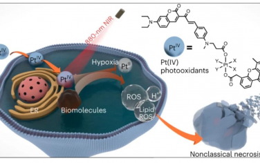 Nature Chemistry：近红外活化的抗癌铂（IV）复合物以不依赖氧气的方式直接光氧化生物分子