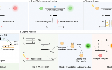 Chem. Soc. Rev：用于构建余辉成像探针的分子底物及其在疾病诊断和治疗中的应用