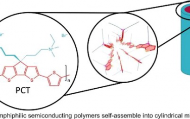 Macromolecules: 两亲性共轭聚电解质自组装成直链棒状胶束的设计