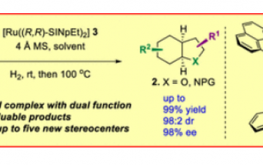 JACS：Ru-NHC 催化吲哚和苯并呋喃的不对称完全氢化：一种具有双重功能的催化剂
