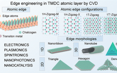 ACS Nano：化学气相沉积实现二维层状过渡金属二硫族化合物的边缘工程