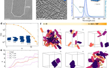 ACS Nano：实时原位观察CsPbBr3钙钛矿纳米板转变成纳米片