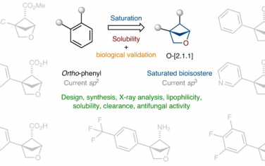 Nature Chemistry: 2-氧杂双环[2.1.1]己烷作为邻位取代苯环的饱和生物电子等排体