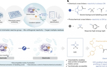 Nature Chemistry：基于化学蛋白质组学的靶点识别的电亲和标记平台