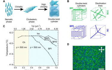 Science Advances：蓝相液晶功能软材料