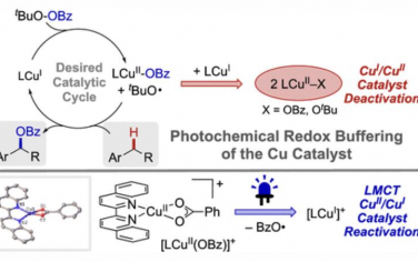 JACS: 通过Cu催化剂的光化学氧化还原缓冲实现具有极限C–H底物的苄基C–H酯化
