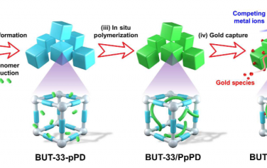 Science Advances：用于从水基质中快速提取金的定制 MOF-聚合物复合材料