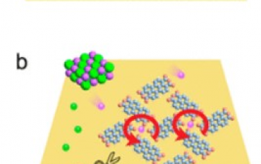 ACS Nano：通过Na配位调控自组装PTCDA分子的手性