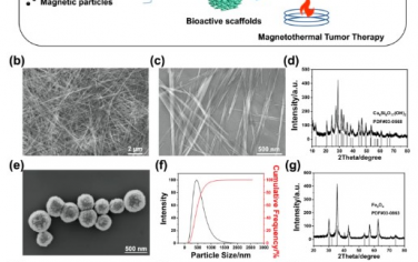 Nano Letters：含硬硅钙石纳米线生物活性支架可治疗乳腺癌中的脂肪组织缺陷