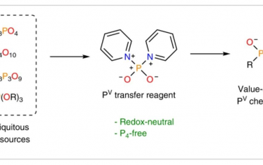 Nature Synthesis：PV源向多功能PO2+磷酸化试剂的氧化还原中性转化