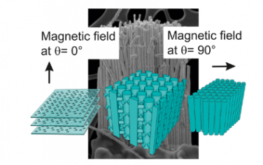 ACS Nano：Bi2Te3 有序 3D 纳米网络中表面传输的局域化和方向性