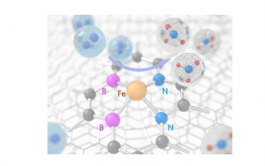 ACS Nano：电子扰动孤立的 Fe 配位结构以增强固氮